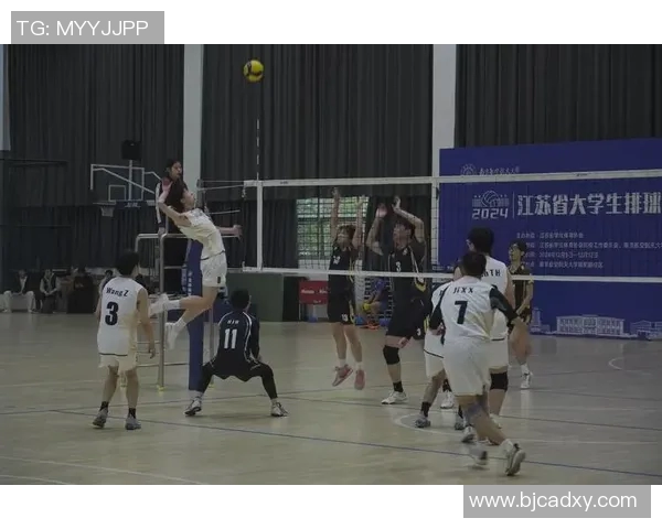 广州排球队展现卓越耐力实力助力联赛争冠之路