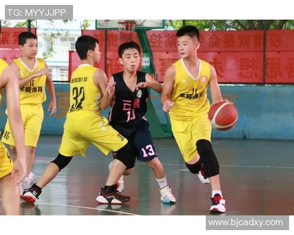 李敏独家分享篮球心得与技巧助你提升球技的全面指南 李敏独家分享篮球心得与技巧助你提升球技的全面指南