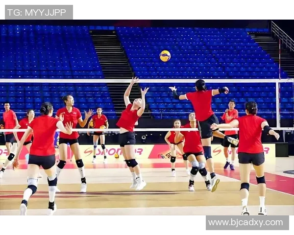 西安排球队在总决赛中的实力展现与战术分析