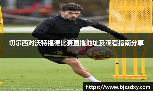 皇冠体育官方网站