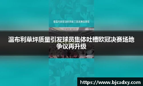 皇冠体育官方app